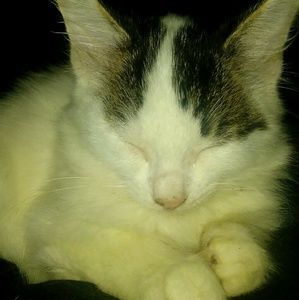 Meet your Posher, Brittney